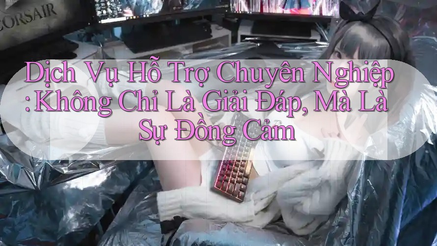 Dịch Vụ Hỗ Trợ Chuyên Nghiệp: Không Chỉ Là Giải Đáp, Mà Là Sự Đồng Cảm