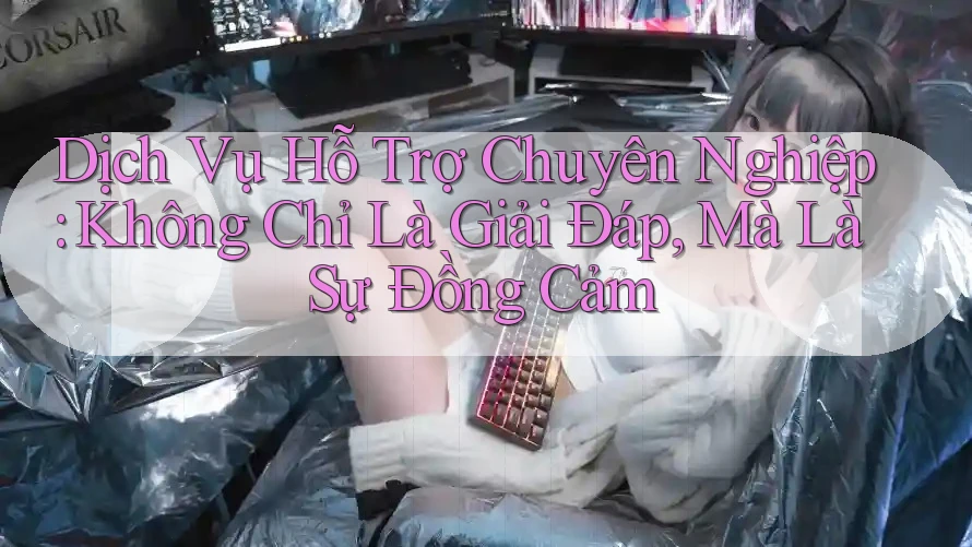 Dịch Vụ Hỗ Trợ Chuyên Nghiệp: Không Chỉ Là Giải Đáp, Mà Là Sự Đồng Cảm Dịch Vụ Hỗ Trợ Chuyên Nghiệp: Không Chỉ Là Giải Đáp, Mà Là Sự Đồng Cảm