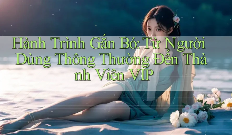 Hành Trình Gắn Bó: Từ Người Dùng Thông Thường Đến Thành Viên VIP Hành Trình Gắn Bó: Từ Người Dùng Thông Thường Đến Thành Viên VIP