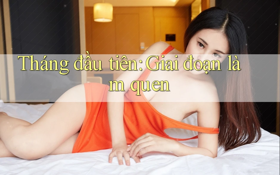 Tháng đầu tiên: Giai đoạn làm quen